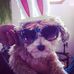 Profile Picture of Buddy Hammell (@buddy.hammell) on Facebook