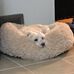 Profile Picture of Debbie Arsenault (@debbie.arsenault.338) on Facebook