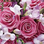 Profile Picture of Lillian Cotto (@lillycotto) on Instagram