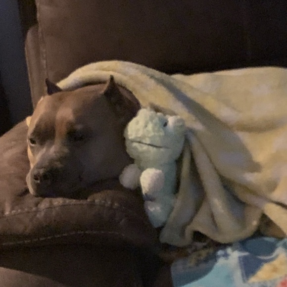 Profile Picture of Ed Digiammarino (@repoman74) on Poshmark