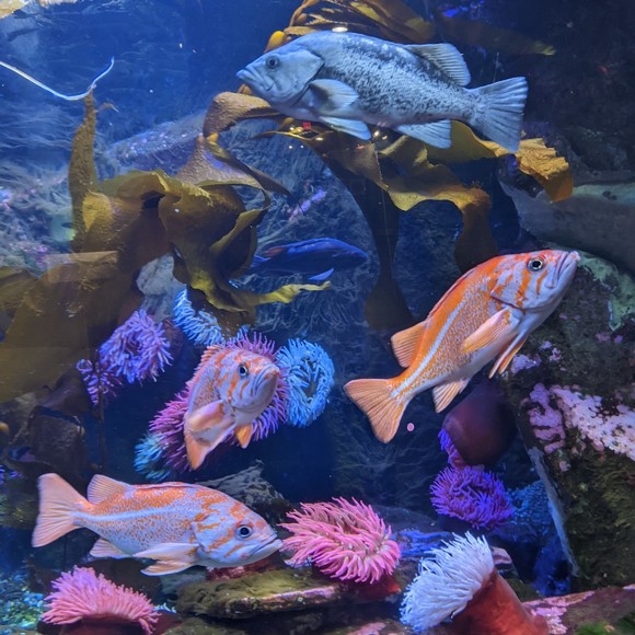 Profile Picture of Julie Holsworth (@j_holsworth) on Poshmark