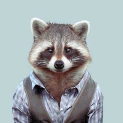 Profile Picture of Bo Wang (@Zachary0011) on Twitter