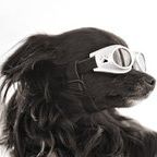 Profile Picture of Lori Campbell Carpenter (@pixelcarpenter) on Pinterest