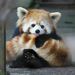 Profile Picture of Rocky Steven (@rockybarrios10) on Pinterest
