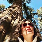 Profile Picture of Tamara Reid (@tamreid) on Instagram
