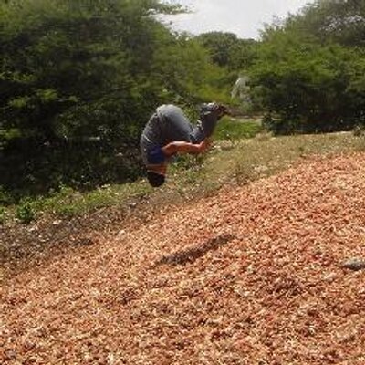Profile Picture of Stanley Ramirez (@StanleyRamirez) on Twitter