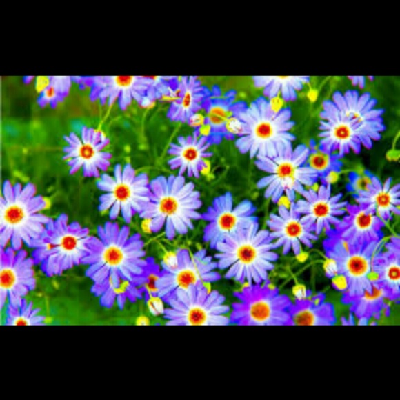 Arinn Thompson - Poshmark Profile Picture of Arinn Thompson (@arinnkat) on Poshmark