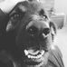 Profile Picture of Michael Eggen (@michael.eggen.52) on Facebook