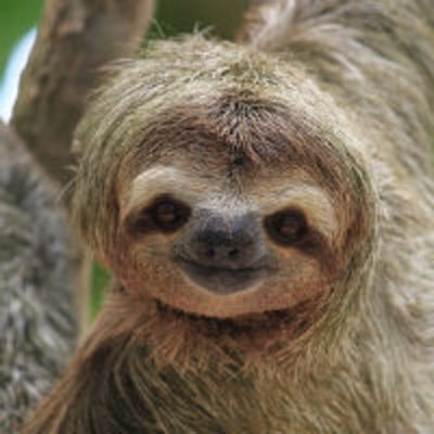 Profile Picture of Scott Carney (@scottcarney27) on Twitter