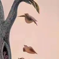 Profile Picture of Addi Powers (@addi-powers) on Quora