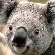 Profile Picture of Gex Chereck (@gexchereck7741) on Youtube