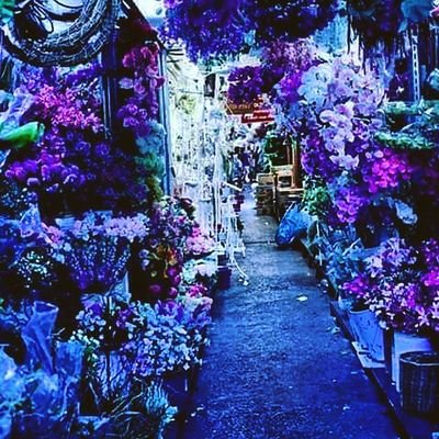 Leyla Asadullayeva - Twitter Profile Picture of Leyla Asadullayeva (@Liliqusi) on Twitter