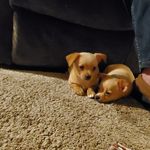 Profile Picture of Diana Boyer Palmer (@dianapalmer9433) on Instagram