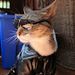 Profile Picture of Renda Cord (@ralphcord05) on Pinterest