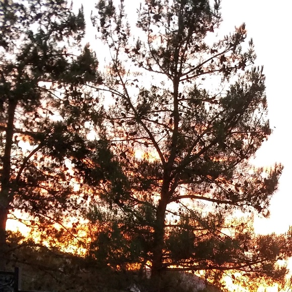 Profile Picture of Kathleen Kotasz (@mynameis_kat) on Poshmark