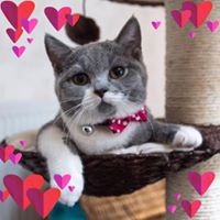 Profile Picture of Sue Dawe (@sue-dawe-1) on Quora