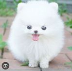 Profile Picture of Nelva Ticante (@Nelva-Ticante) on Facebook