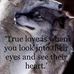 Profile Picture of Mitchell Moore (@mitchell.moore.90410) on Facebook