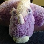 Profile Picture of Conrad Robertson (@conrad.what_a_bunz_guy) on Instagram