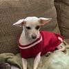 Profile Picture of shermanwilkinson5 (@shermanwilkinson5) on Tiktok