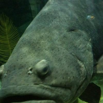 Profile Picture of Paul Rivenburgh Jr (@PRivenburgh) on Twitter