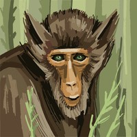 Profile Picture of Mario Lucio (@mario-lucio-12) on Quora