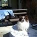Profile Picture of Marcia Conkey (@marcia.conkey) on Facebook