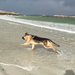 Profile Picture of Peter Conneely (@pconneely123) on Instagram