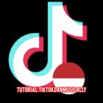 Profile Picture of Tutorial TikTok dan Musically (@tutorial.tiktokdanmusically) on Instagram