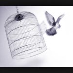 Profile Picture of Holmes (@zena__holmes) on Instagram