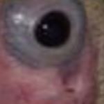 Profile Picture of Gavin Michael (@gavin_amacher) on Instagram