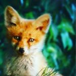 Profile Picture of MICHAEL FREDERICK TARINO (@michael_federick_tarino) on Instagram