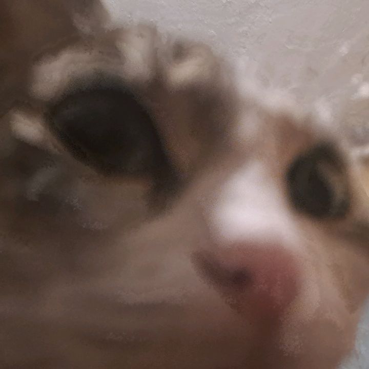 Profile Picture of Haddock (@haddoc.k) on Tiktok