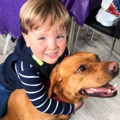 Profile Picture of Patrick O Callaghan (@pa_callaghan) on Twitter
