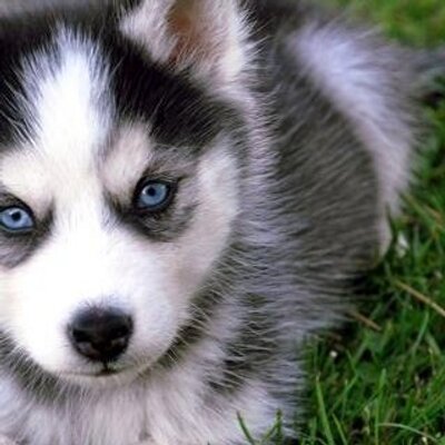 Profile Picture of Kyle Sandoval (@kylesandoval201) on Twitter