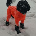 Profile Picture of Brian Dalziel (@briandalziel) on Instagram