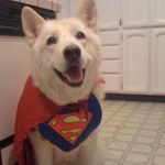 Profile Picture of Shawn Harrold (@cedarsmile) on Instagram