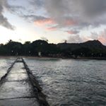 Profile Picture of Hsin Feng (@usurbrain) on Instagram