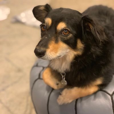 Profile Picture of Joshua Min (@joshuamin_) on Twitter