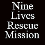Profile Picture of Brian Bensching (@Nine Lives Rescue Mission) on Flickr