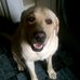 Profile Picture of Pete Toland (@pete.toland.14) on Facebook