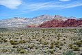 Profile Picture of Red Rock Canyon National Conservation Area - Wikipediaon Wikipedia