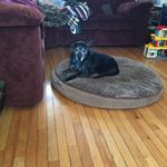 Profile Picture of deeramey (@deeramey) on Instagram