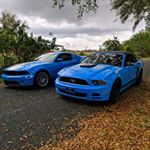 Profile Picture of Thomas Rinaldi (@thomas.rinaldi) on Instagram
