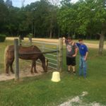 Profile Picture of Greg Minor (@minor.greg) on Instagram