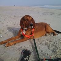 Profile Picture of Sandra Tompkins (@sandra-tompkins-1) on Quora