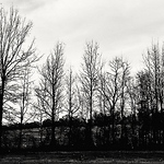 Profile Picture of Amy Bates (@ruleofcyrus) on Flickr