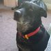 Profile Picture of David Winstanley (@winno1969) on Pinterest