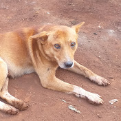 Profile Picture of Paul Macharia (@paulmacharia2223) on Youtube