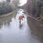 Profile Picture of Leigh Scott Garside (@leighgarside) on Instagram